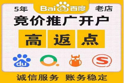 电商平台信息流广告的投放策略与效果评估案例